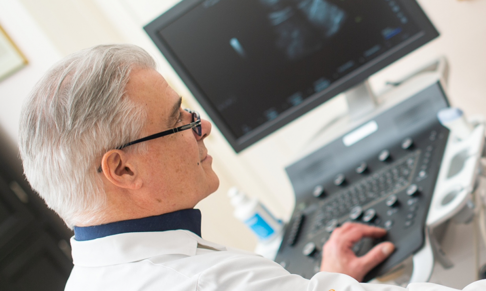 OA Dr. Stefan Schmidt